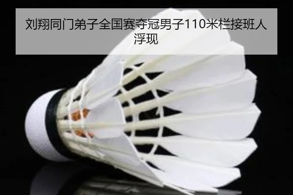 刘翔同门弟子全国赛夺冠男子110米栏接班人浮现